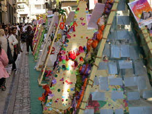 Temps de Flors 2025. Carrer Nou