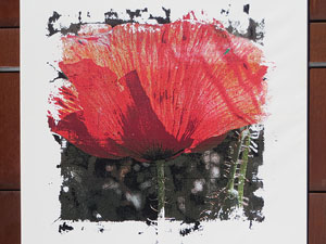 Temps de Flors 2025. Pla&ccedil;a del Pallol