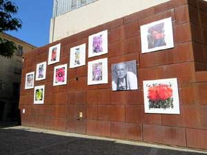 Temps de Flors 2025. Pla&ccedil;a del Pallol