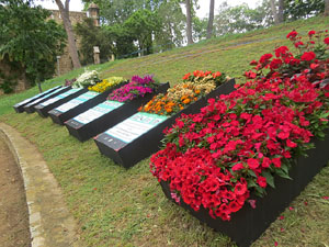 Temps de Flors 2025. Els Jardins de les Pedreres