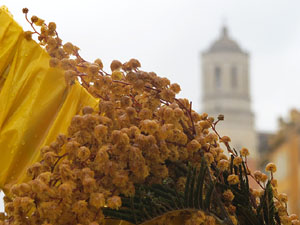 Temps de Flors 2025. El pont de les Peixateries Velles