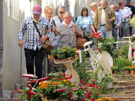 Temps de Flors 2025. Pujada de la Catedral - Escales de la Pera