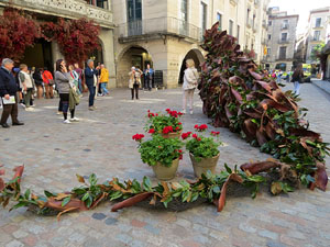 Temps de Flors 2025. Pla&ccedil;a del Vi