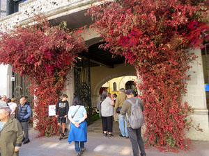 Temps de Flors 2025. Pla&ccedil;a del Vi