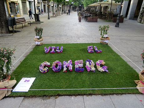 Temps de Flors 2025. Rambla de la Llibertat - carrer Abeuradors