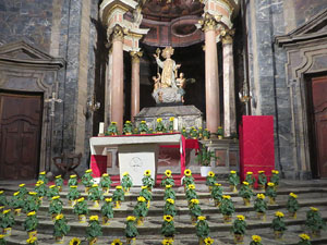 Temps de Flors 2025. Basílica de Sant Feliu (interior)