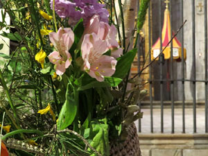 Temps de Flors 2025. Basílica de Sant Feliu (interior)