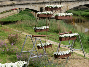 Temps de Flors 2025. Avinguda Sant Francesc