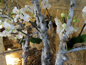 Temps de Flors 2025. Edifici D&iacute;az Tarrag&oacute;