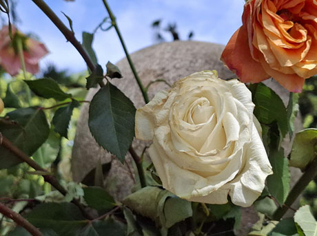 Temps de Flors 2025. Parc de la Devesa, Templet dels m&uacute;sics