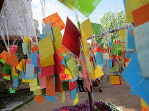 Temps de Flors 2025. Carrer de Trasfiguera