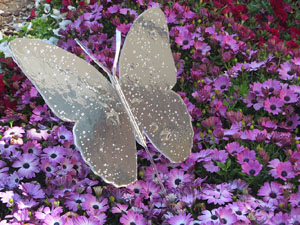 Temps de Flors 2025. Carrer de Trasfiguera