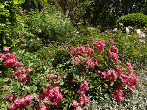 Temps de Flors 2026. . Jardins de la Devesa