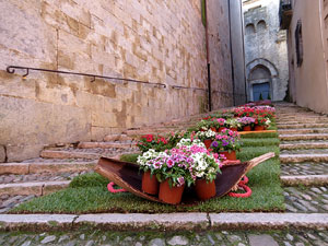 Temps de Flors 2026. Bas&iacute;lica de Sant Feliu. Escalinata lateral nord