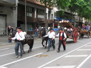 Ampliar