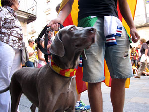 Ambient a Girona i preparació de la Via Catalana