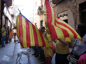 Ambient a Girona i preparació de la Via Catalana