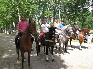 La Cavalcada de Sant Antoni 2013