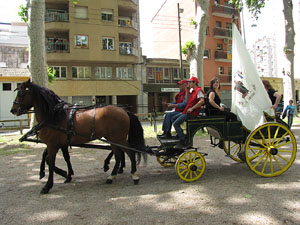 La Cavalcada de Sant Antoni 2013
