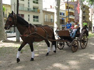 La Cavalcada de Sant Antoni 2013
