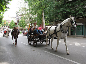 La Cavalcada de Sant Antoni 2013