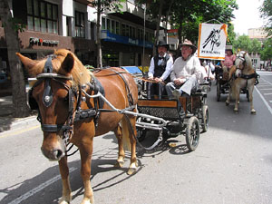 La Cavalcada de Sant Antoni 2013