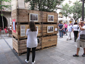 inund'ART 2013