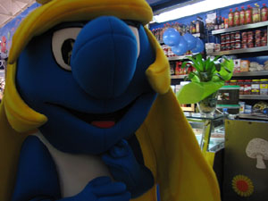 Carnestoltes al Mercat del Lle&oacute;