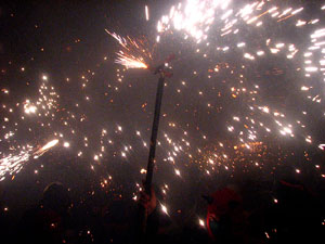 Fires de Sant Narcís 2013. El correfoc. 25 anys dels Diables de l'Onyar