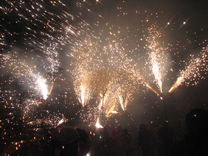 Fires de Sant Narc&iacute;s 2013. El correfoc. 25 anys dels Diables de l'Onyar