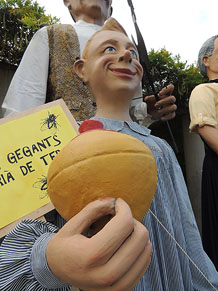 Fires de Sant Narc&iacute;s 2013. Trobada de gegants
