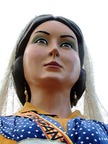 Fires de Sant Narc&iacute;s 2013. Trobada de gegants