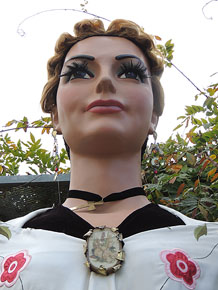 Fires de Sant Narc&iacute;s 2013. Trobada de gegants