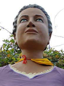 Fires de Sant Narc&iacute;s 2013. Trobada de gegants