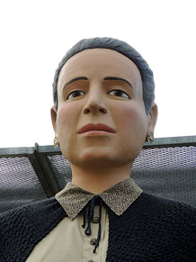 Fires de Sant Narc&iacute;s 2013. Trobada de gegants