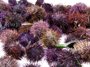 Girona10. Mercat del Lleó. Tastets gastronòmics