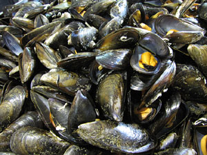 Girona10. Mercat del Lleó. Tastets gastronòmics