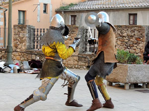 Taller sobre la vida militar i l'her&agrave;ldica a la Girona medieval
