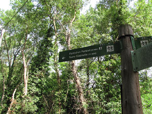 La ruta del fort del Calvari