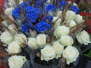 Sant Jordi 2014 a Girona