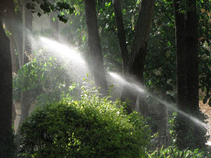 Girona Temps de Flors 2014. Preparaci&oacute; dels muntatges florals