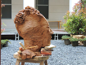 Girona Temps de Flors 2014. Espais, patis i exposicions diversos