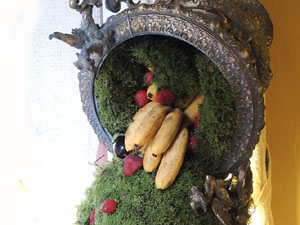 Girona Temps de Flors 2014. Espais, patis i exposicions diversos