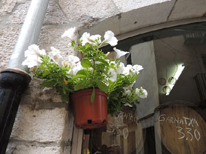 Girona Temps de Flors 2014. Espais, patis i exposicions diversos
