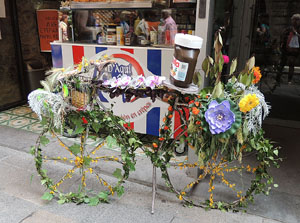 Girona Temps de Flors 2014. Espais, patis i exposicions diversos
