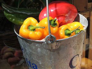 Girona Temps de Flors 2014. Espais, patis i exposicions diversos