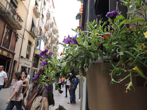 Girona Temps de Flors 2014. Espais, patis i exposicions diversos