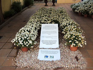 Girona Temps de Flors 2014. Espais, patis i exposicions diversos