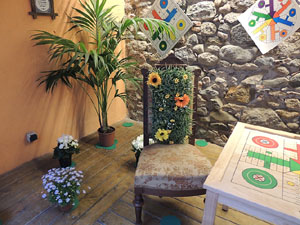 Girona Temps de Flors 2014. Espais, patis i exposicions diversos