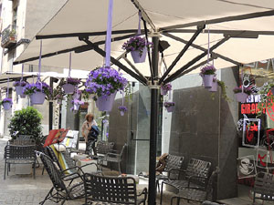 Girona Temps de Flors 2014. Espais, patis i exposicions diversos